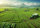 Sustainable Agriculture: Feeding the World Without Harming the Planet